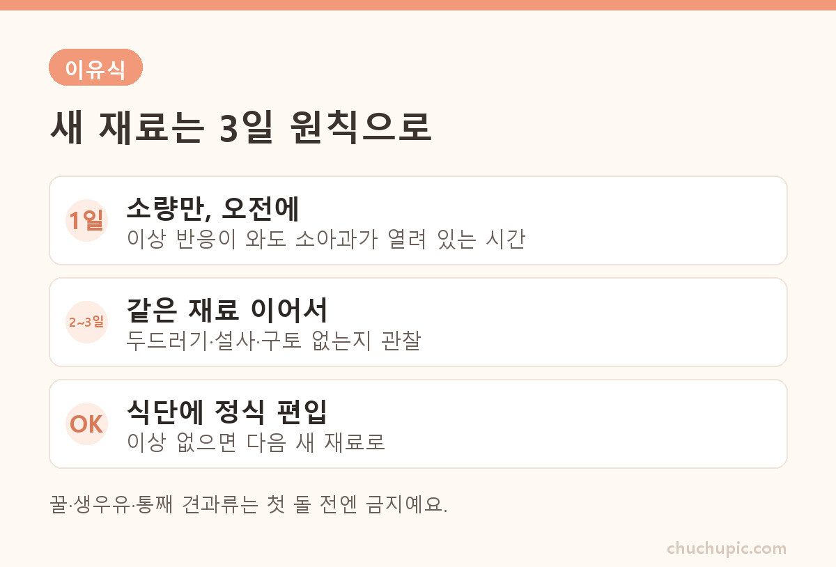 이유식 새 재료 3일 원칙